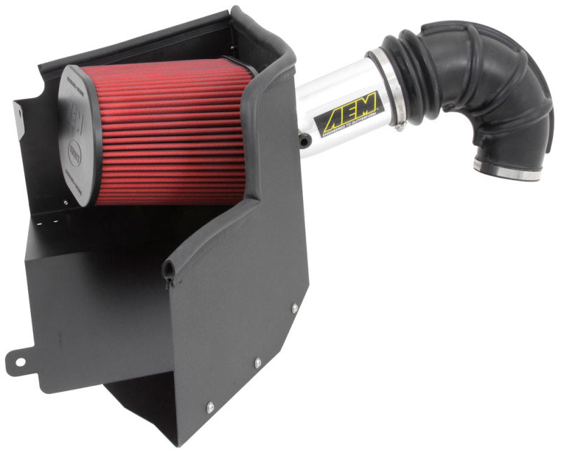 AEM 13-14 Dodge Ram 1500 5.7L V8 Brute Force Cold Air Intake-Cold Air Intakes-Deviate Dezigns (DV8DZ9)