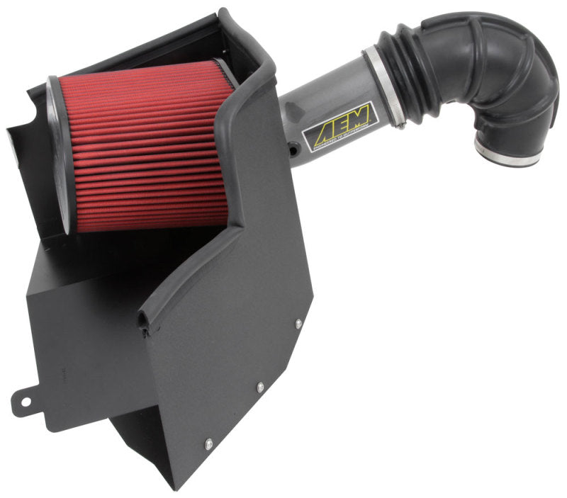 AEM Brute Force Intake System 2013 Dodge Ram 1500 5.7L V8-Cold Air Intakes-Deviate Dezigns (DV8DZ9)