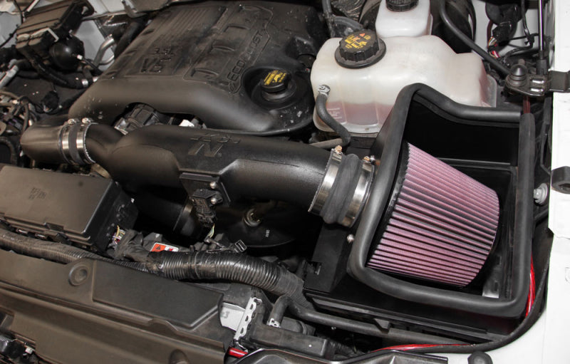 K&N 11-14 Ford F-150 3.5L V6 Performance Intake Kit-Cold Air Intakes-Deviate Dezigns (DV8DZ9)