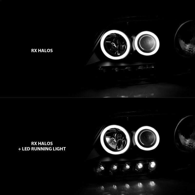 ANZO 1997-2003 Ford F-150 Projector Headlights w/ Halo Black (CCFL)-Headlights-Deviate Dezigns (DV8DZ9)